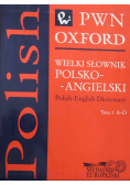 Wielki słownik Polsko Angielski