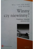 Winny czy niewinny