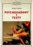 Psychozabawy i testy