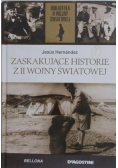 Zaskakujące historie z II wojny światowej