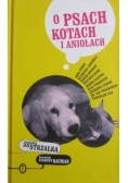 O psach kotach i aniołach