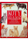 Koty od A do Z