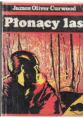 Płonący las