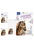 Papeteria Lux 5+10 Koń