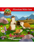 Mieszkam blisko lasu Świstak