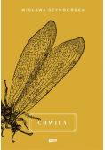 Chwila