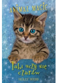 Animal Magic Tabi uczy się czarów