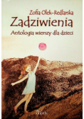 Zadziwienia Antologia wierszy dla dzieci