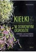 Kiełki w domowym ogrodzie