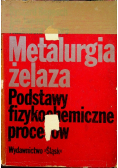 Metalurgia żelaza