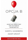 Opcja B
