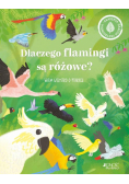 Dlaczego flamingi są różowe