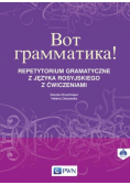 Wot grammatika: Repetytorium gramatyczne z języka rosyjskiego z ćwiczeniami + CD