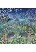 Karnet kwadrat z kopertą Hedgehogs