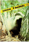 Borsuk