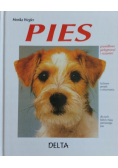 Pies