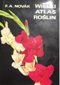 Wielki atlas roślin