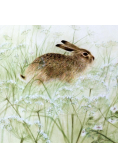 Karnet kwadrat z kopertą Rabbit