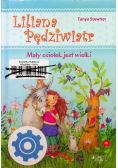 Liliana Pędziwiatr Mały osiołek jest wielki