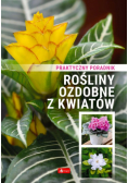 Rośliny ozdobne z kwiatów Poradnik praktyczny