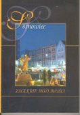 Sosnowiec Zagłębie możliwości