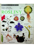 Ilustrowane Słowniki Rośliny