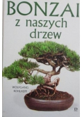 Bonzai z naszych drzew