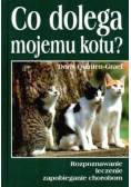 Co dolega mojemu kotu