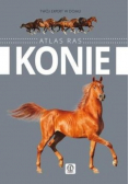 Konie Atlas ras