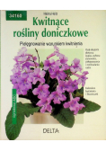Kwitnące rośliny doniczkowe pielęgnowanie