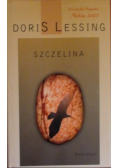 Szczelina