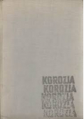 Korozja i tworzywa konstrukcyjne