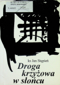 Droga krzyżowa w słońcu