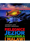 Pielęgnice jezior Tanganika i Malawi