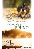 Niezwykły pies Bruno