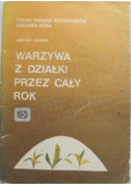 Warzywa z działki przez cały rok