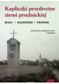 Kapliczki przydrożne ziemi prudnickiej