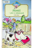 Monti pies w okularach