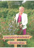 Drogowskazy zdrowia