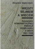Między sejmem a wiecem