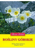 Rośliny górskie