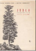 Jodła pospolita