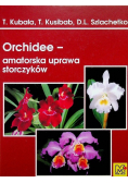 Orchidee amatorska uprawa storczyków