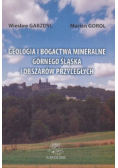 Geologia i bogactwa mineralne Górnego Śląska