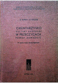Cmentarzysko kultury łużyckiej w Przeczycach