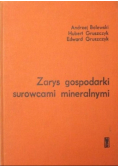 Zarys gospodarki surowcami mineralnymi