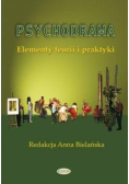 Psychodrama. Elementy teorii i praktyki