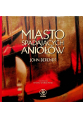 Miasto spadających aniołów