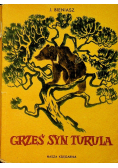 Grześ syn Turula
