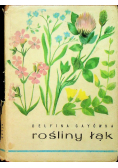 Rośliny łąk